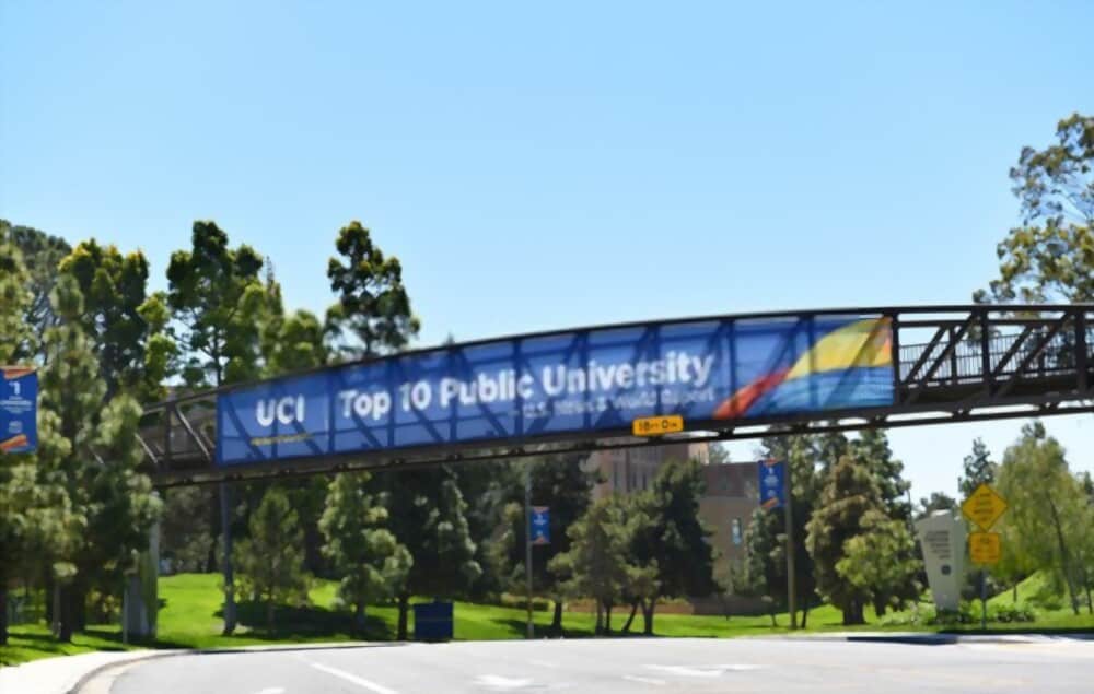 Niklas Hjalmarsson Net Worth: Why Data Is Missing Here